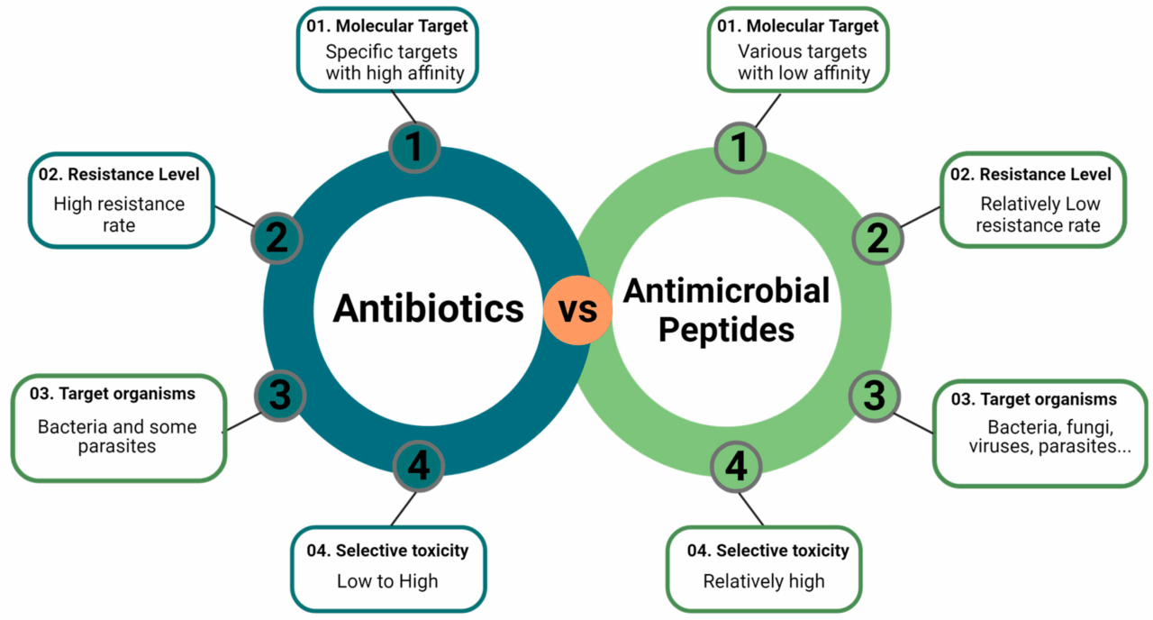 Combining Antimicrobial Peptides and Antibiotics: A Promising Approach in the Fight Against Antibiotic Resistance