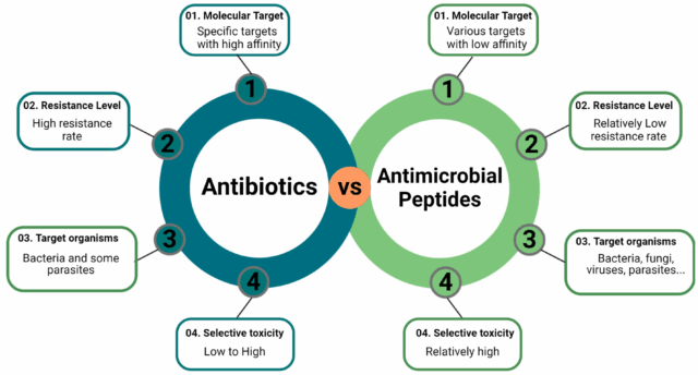 ခြေလက်အောက်ပိုင်း varicose သွေးပြန်ကြောများအတွက် Endovenous လေဆာကုသမှု