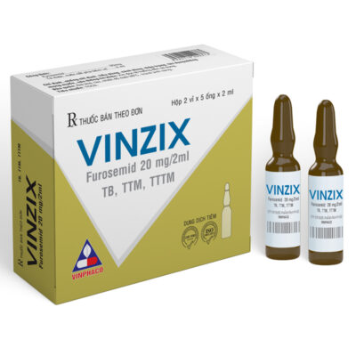 VINZIX