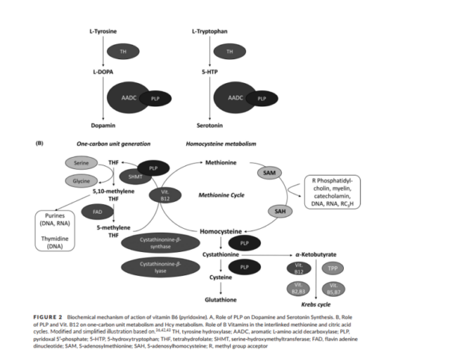 Vitamin B complex injection manufacturer